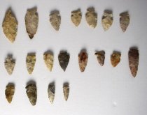 2019.22-2 through 2019.22.20